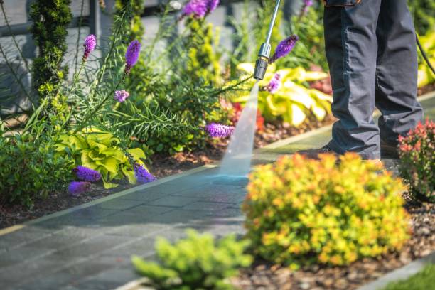 Best Boat and Dock Cleaning  in Delmont, PA